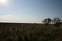 Karpaty+Krym 06.2007 239